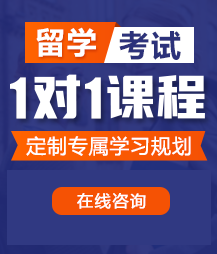 屌插屄的的视频免费在线观看污污留学考试一对一精品课